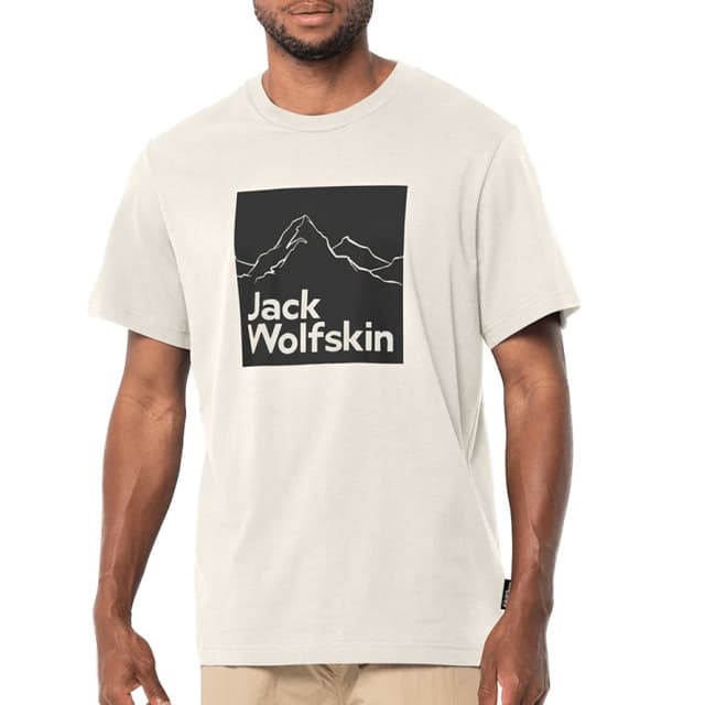 Футболка мужская Jack Wolfskin BRAND T M бежевая 1809021-5152