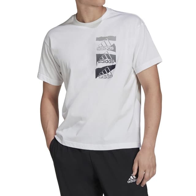 Футболка мужская Adidas M Bl Q2 T белая HE4315