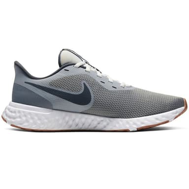 Кроссовки мужские Nike REVOLUTION 5 серые BQ3204-008