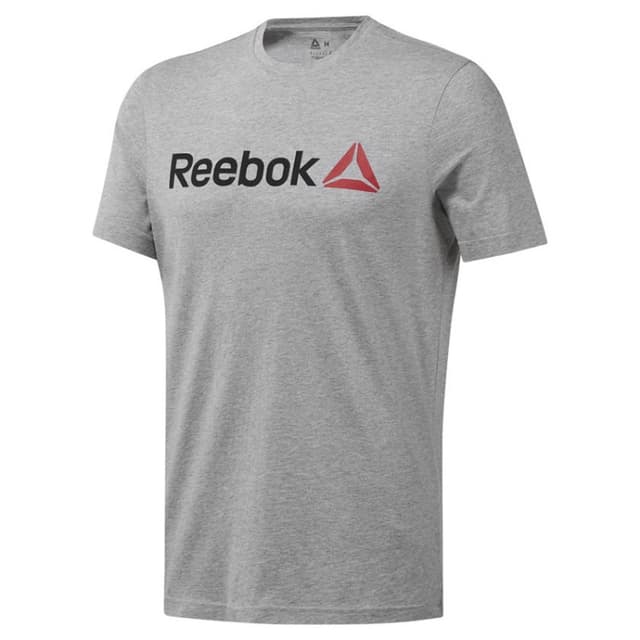 Футболка мужская Reebok LINEAR READ серая CW5375