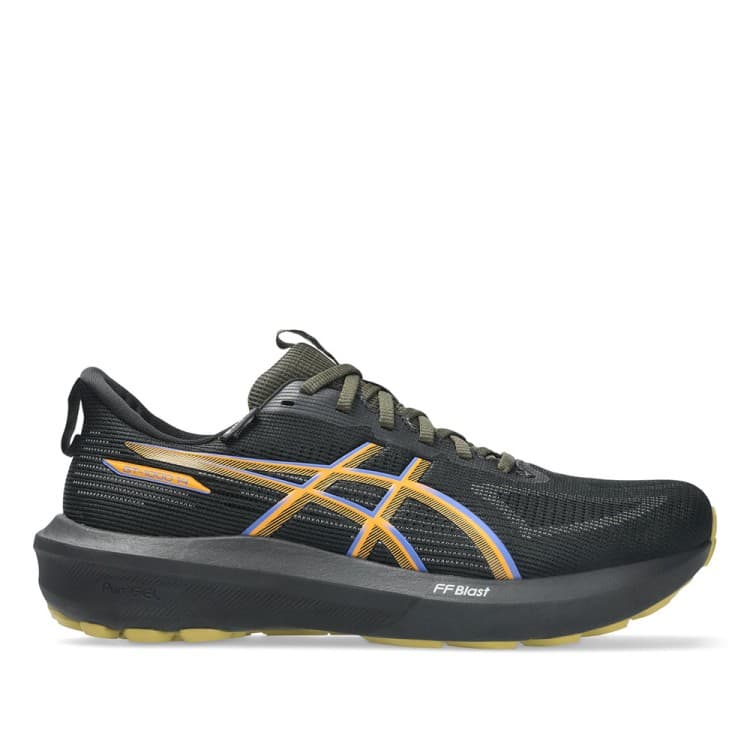 Кроссовки мужские Asics GT-1000 14 GTX черные 1011C078-001