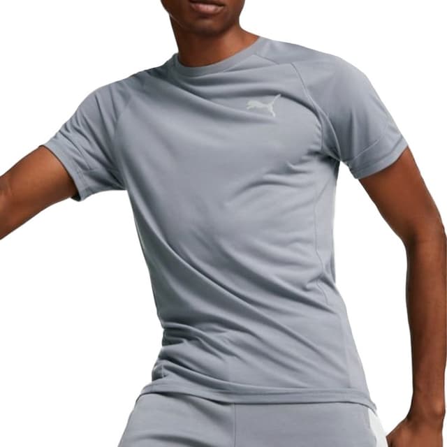 Футболка мужская Puma EVOSTRIPE Tee серая 67331169
