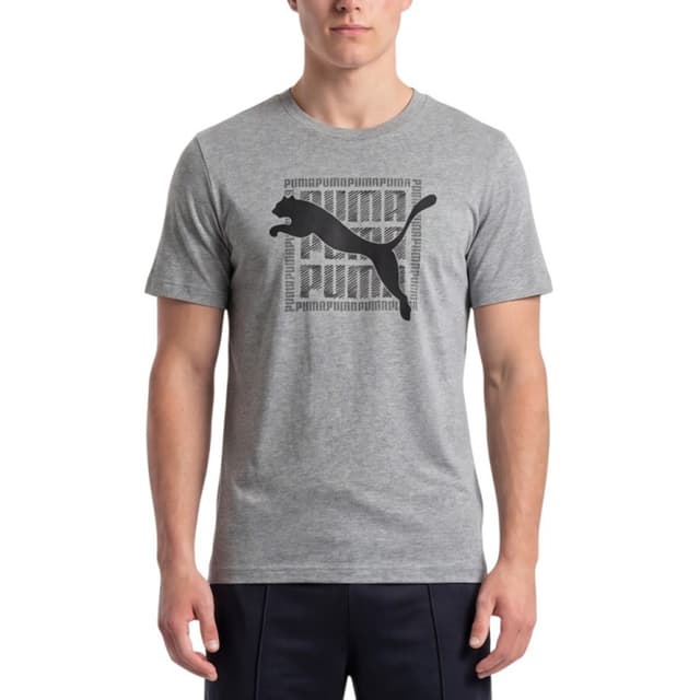 Футболка мужская Puma GRAPHIC Wording Tee серая 69177503