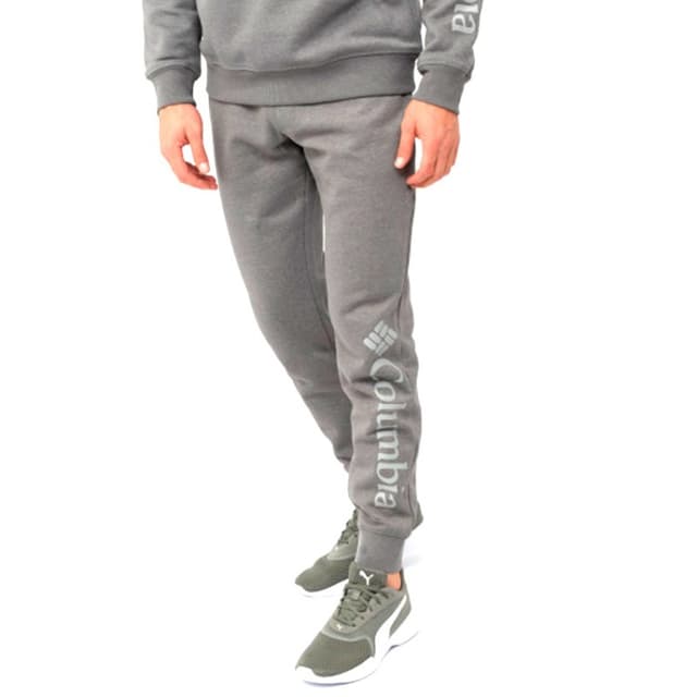 Штани чоловічі Columbia M CSC Logo™ Fleece Jogger II сірі 1911601-023
