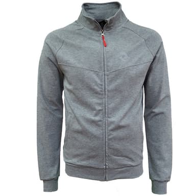 Толстовка чоловіча Radder сіра J88514-011 