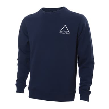 Толстовка чоловіча Radder Crest синя 220045-450