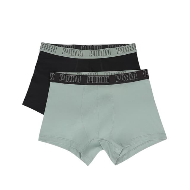 Нижнее белье мужское Puma PUMA MEN EVERYDAY TRUNK 2P оливковое 93832119