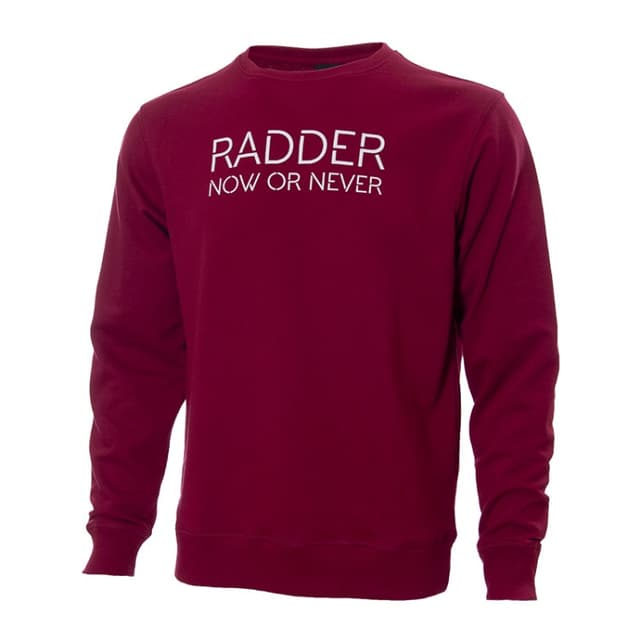 Толстовка чоловіча Radder Talon бордова 220047-680