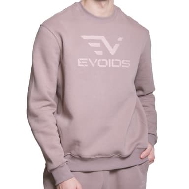 Толстовка мужская Evoids Tadeo мокко 482208-240