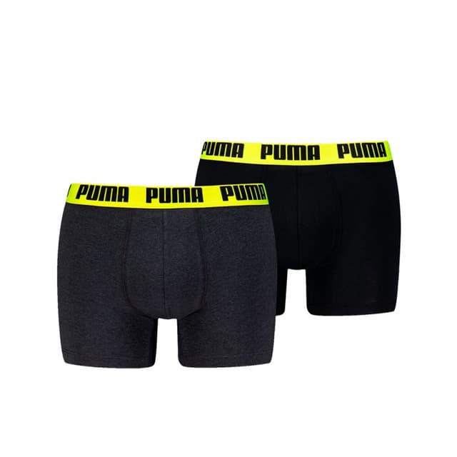 Боксеры мужские Puma MEN EVERYDAY BASIC BOXERS 2P темно-серые 93832009