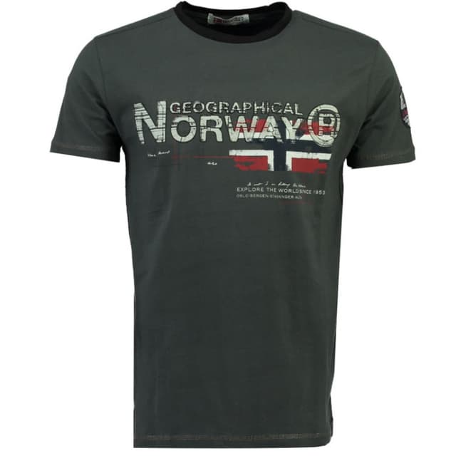 Футболка мужская Geographical Norway серая SR116H-020